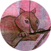 Flying Squirrels (Brian the Clumsy Bunny Two Page Spread 1)