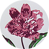 Peony